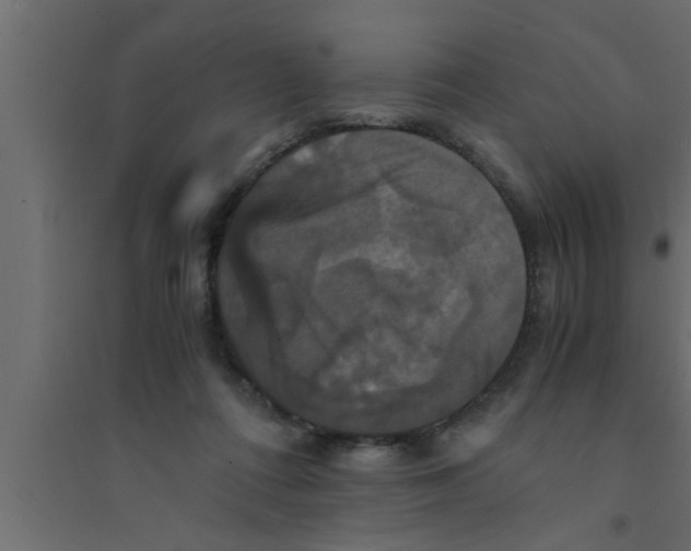 X0000094220312200711241727