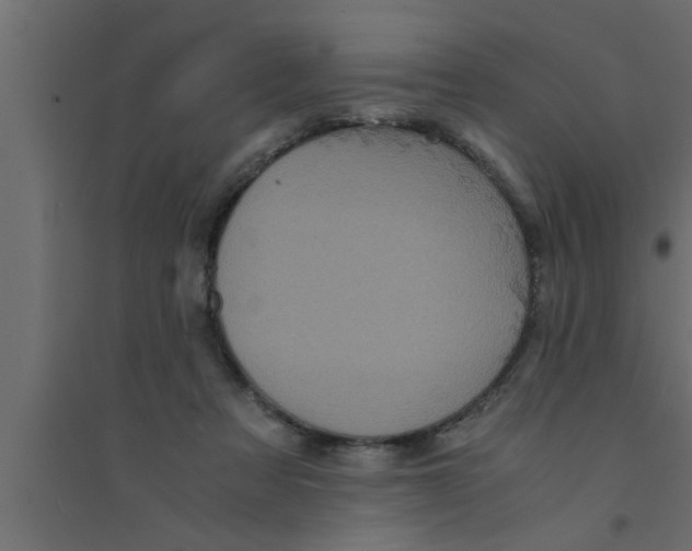 X0000094220313200711241727