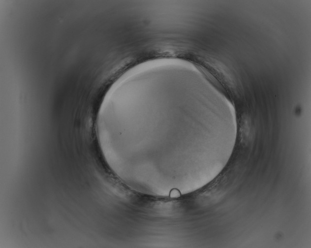 X0000094220314200711241727