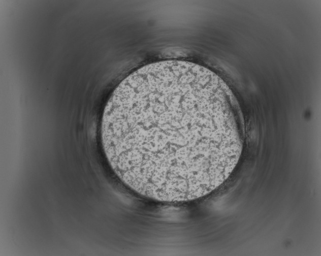 X0000094220315200711241727
