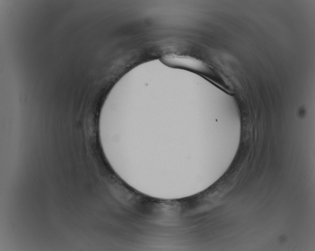 X0000094220317200711241727