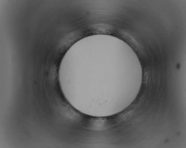 X0000094220318200711241727