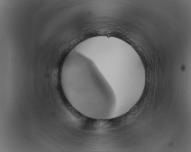 X0000094220319200711241727