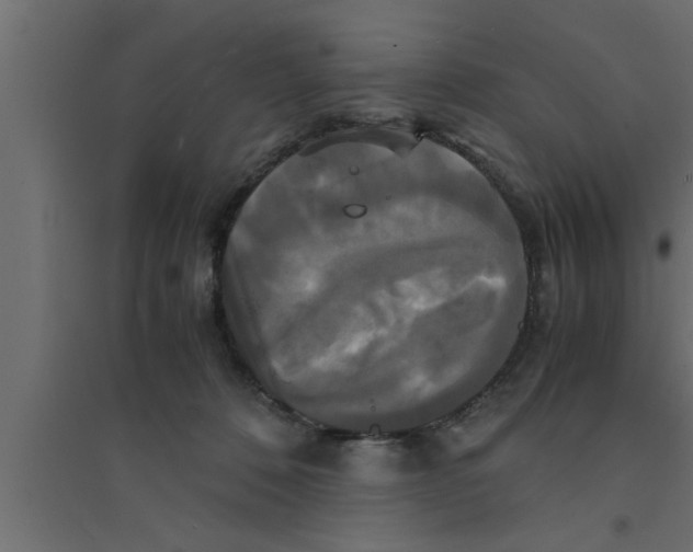 X0000094220320200711241727