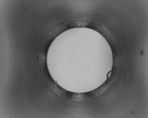 X0000094220321200711241727
