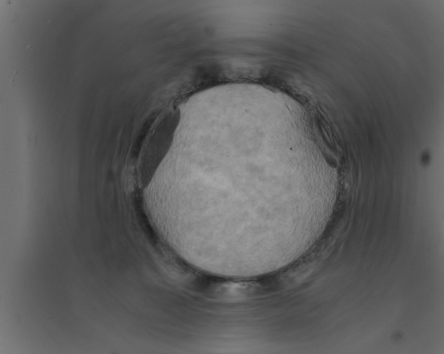 X0000094220323200711241727