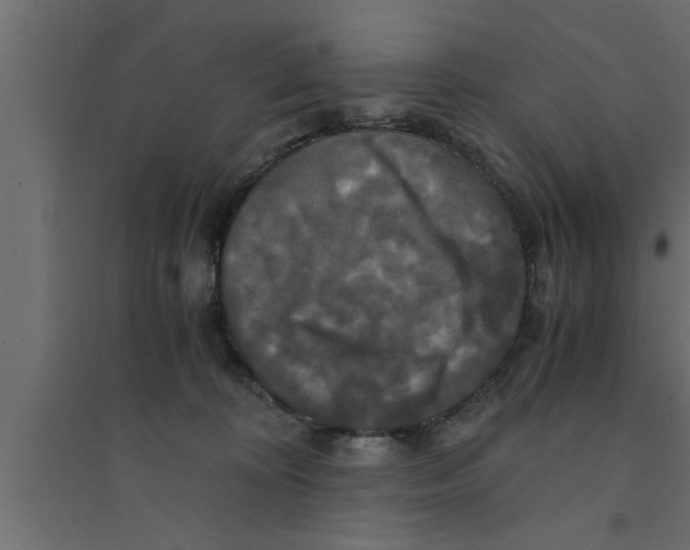 X0000094220324200711241727