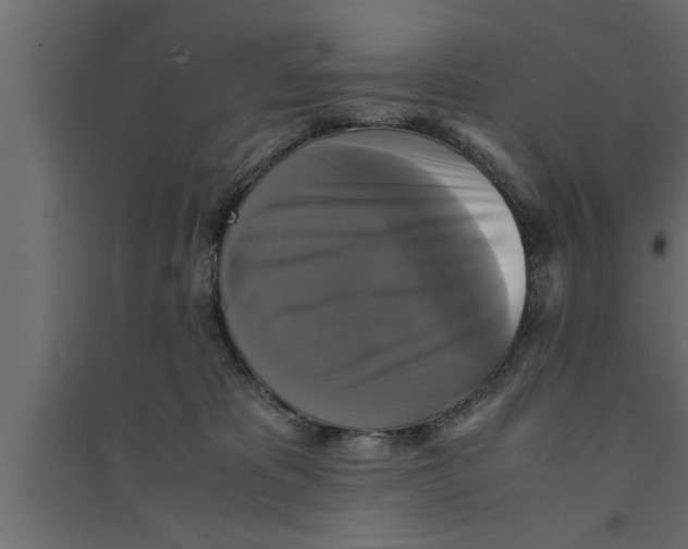 X0000094220325200711241727