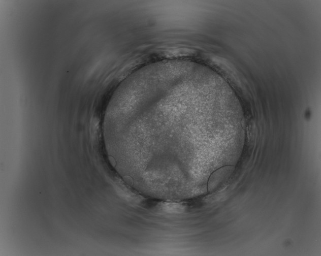 X0000094220327200711241727