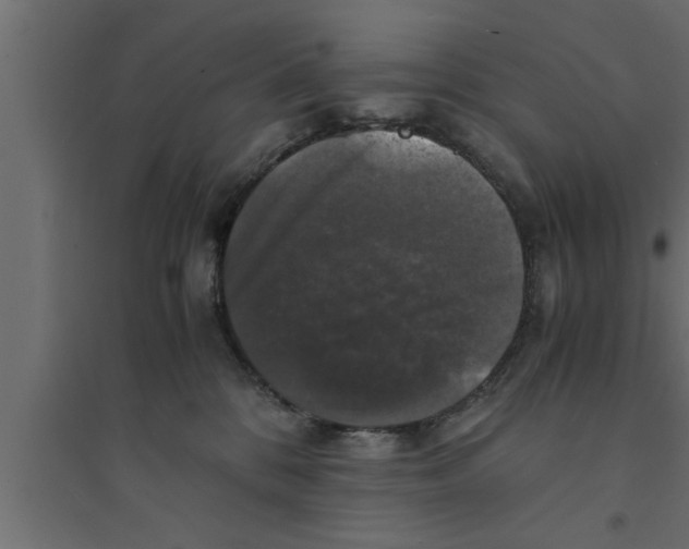 X0000094220328200711241727