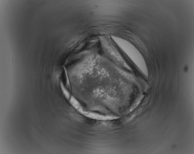 X0000094220329200711241727
