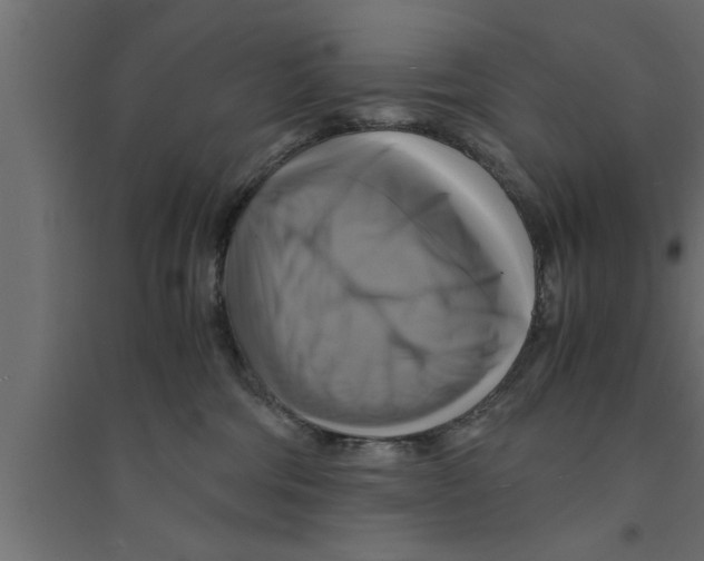 X0000094220330200711241727