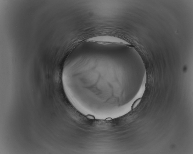 X0000094220331200711241727