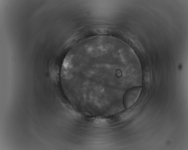 X0000094220332200711241727
