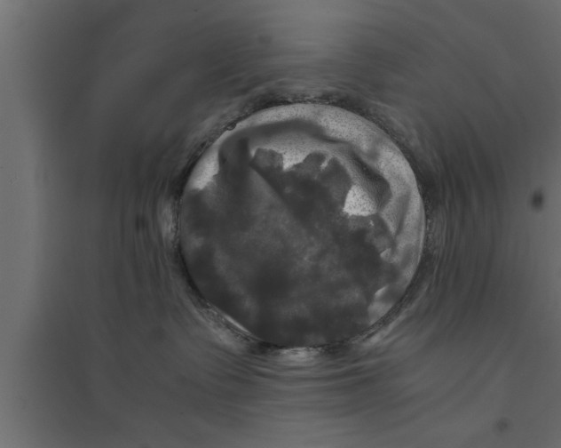 X0000094220335200711241727