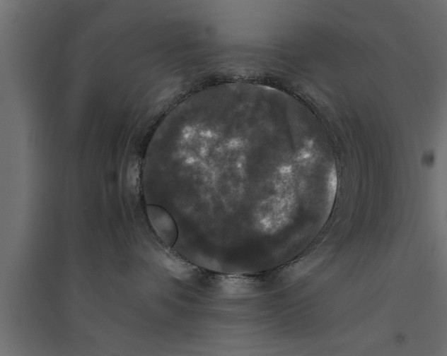 X0000094220336200711241727