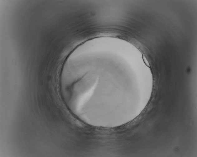 X0000094220337200711241726