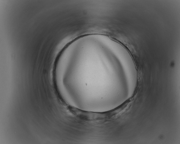 X0000094220340200711241726