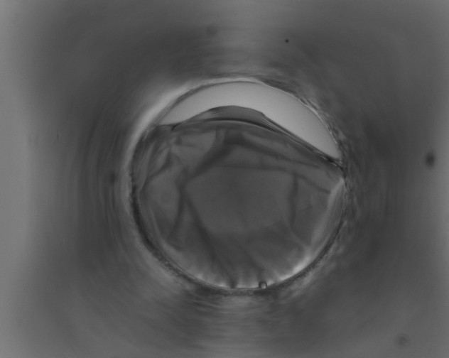 X0000094220342200711241726