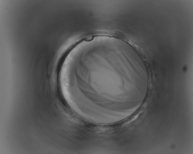 X0000094220343200711241726