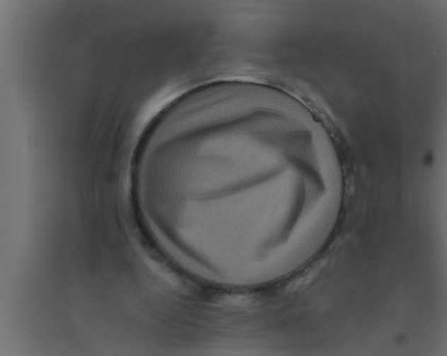 X0000094220344200711241726