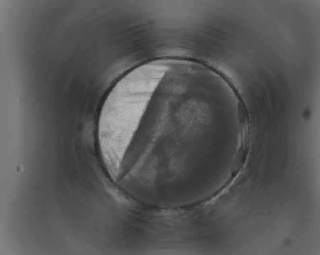 X0000094220345200711241726