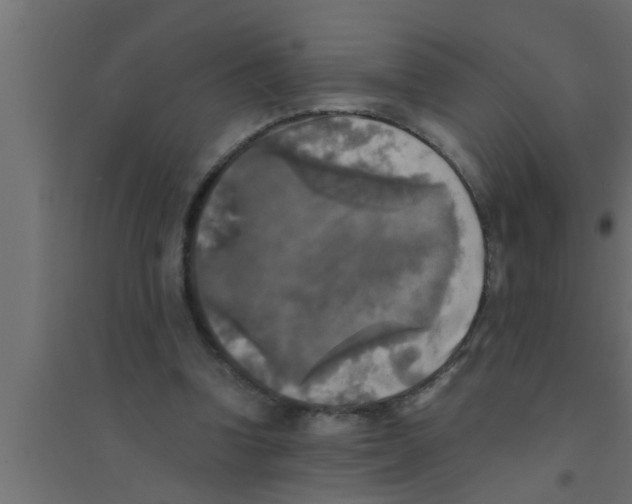 X0000094220346200711241726