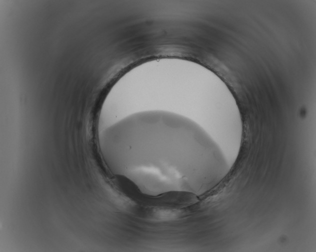 X0000094220347200711241726