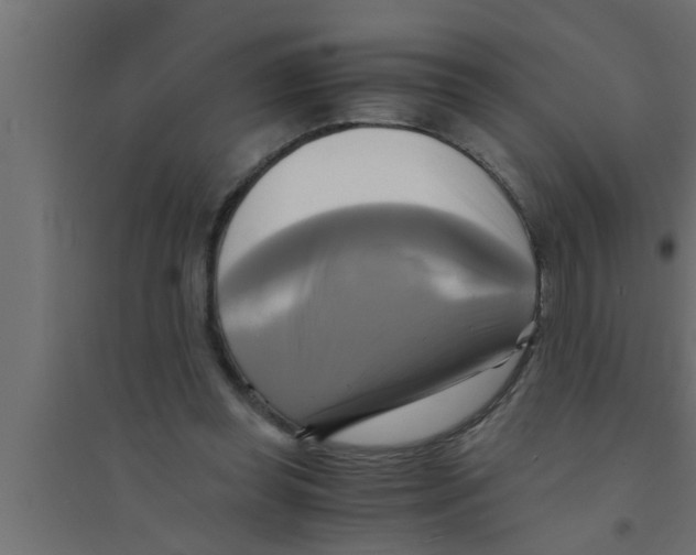 X0000094220349200711241727