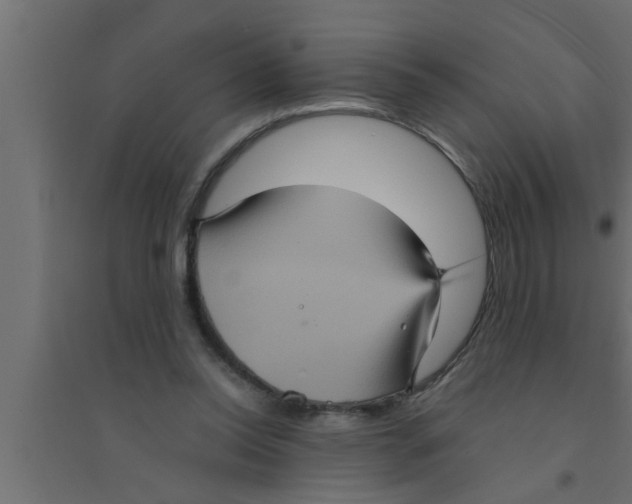 X0000094220350200711241727