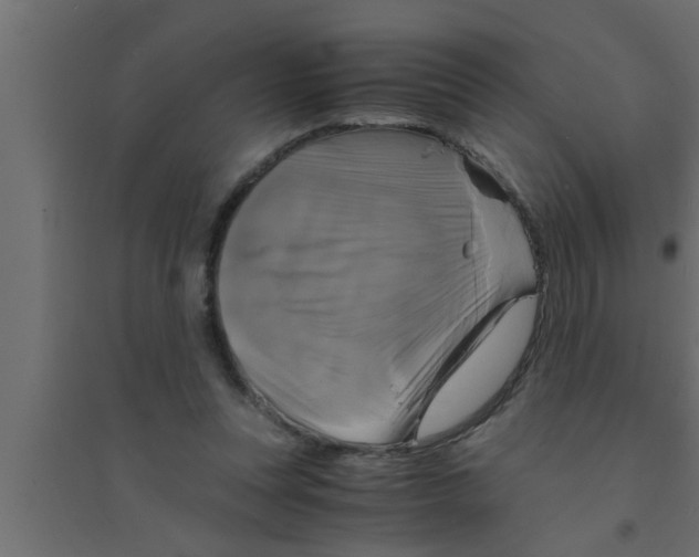 X0000094220351200711241727