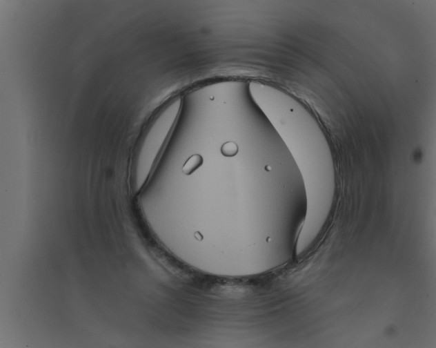 X0000094220352200711241727