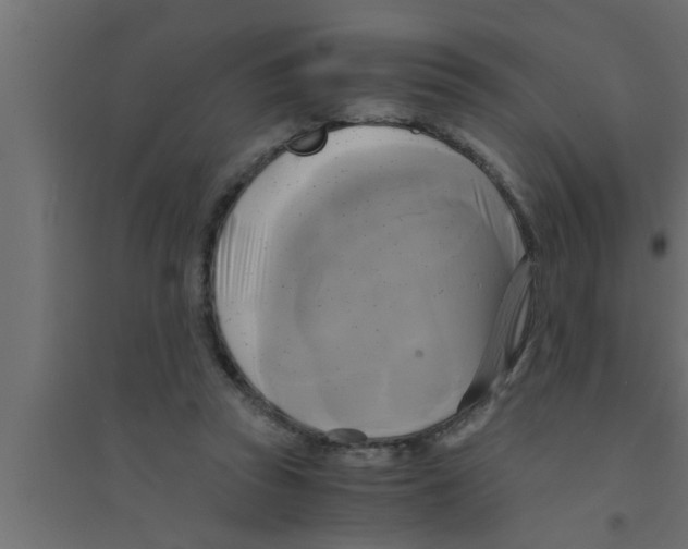 X0000094220353200711241727