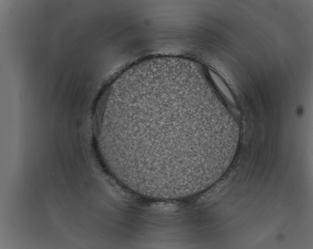X0000094220354200711241727