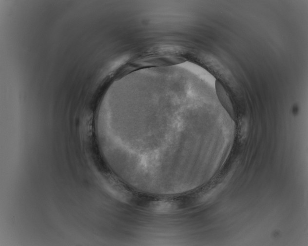 X0000094220356200711241727
