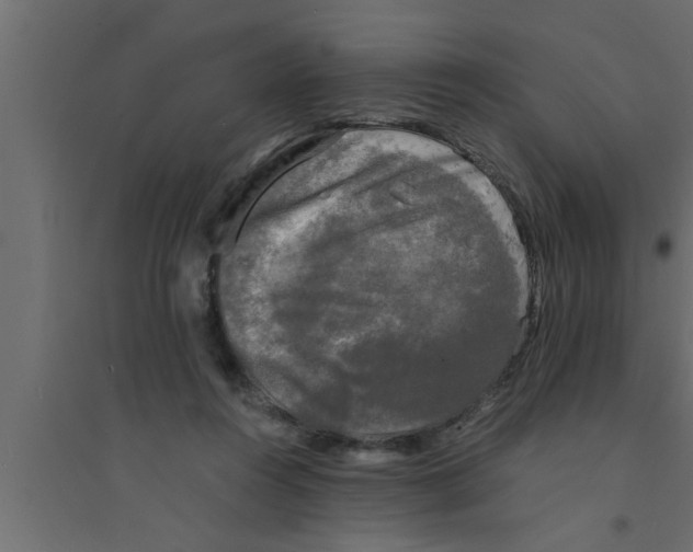 X0000094220360200711241727