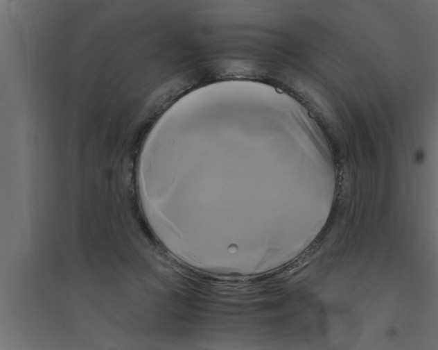 X0000094220361200711241727