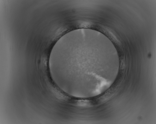 X0000094220363200711241727