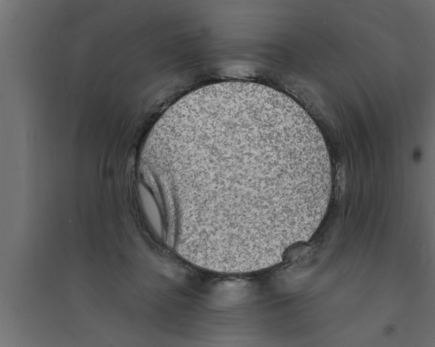 X0000094220364200711241727