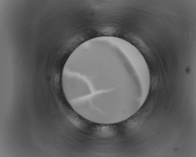 X0000094220365200711241727