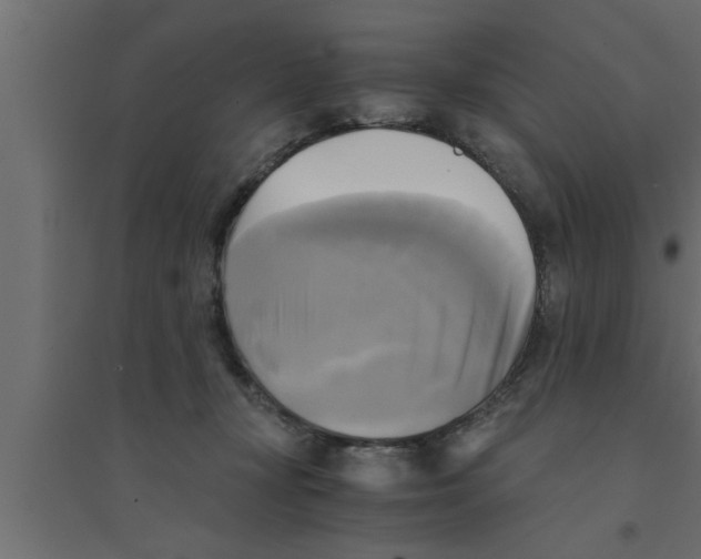 X0000094220367200711241727