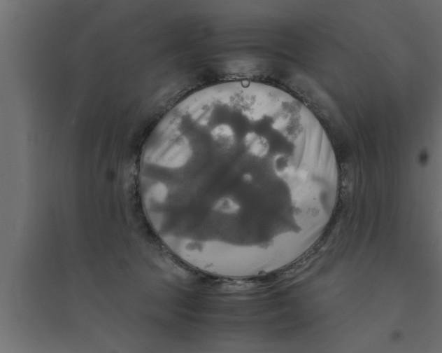 X0000094220369200711241727