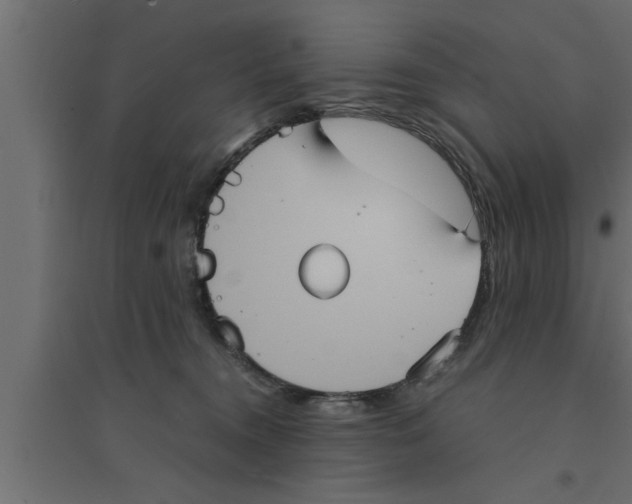 X0000094220372200711241727