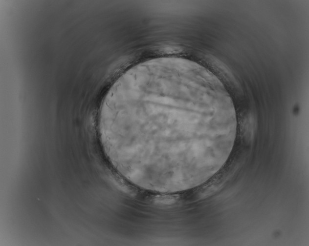 X0000094220373200711241727