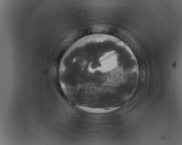 X0000094220375200711241727