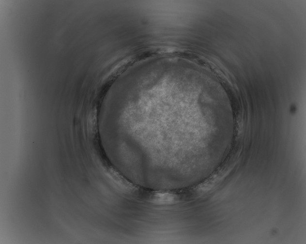 X0000094220376200711241727