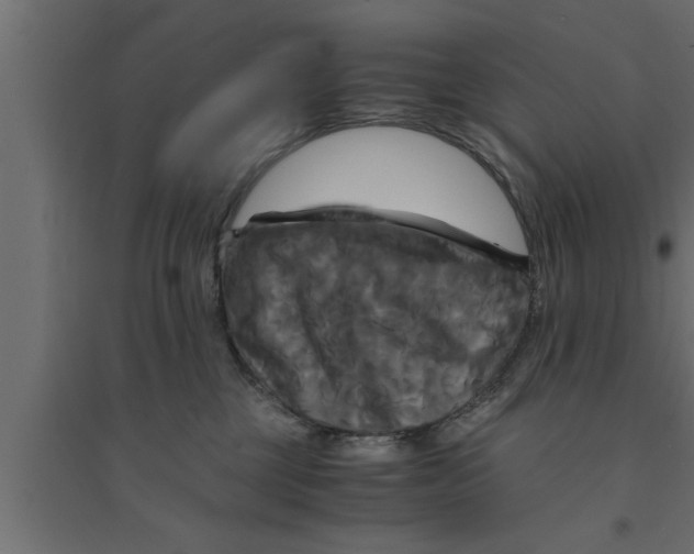 X0000094220377200711241727