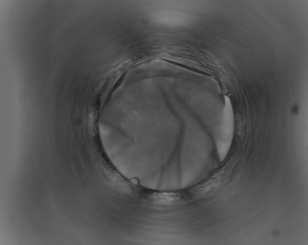 X0000094220378200711241727