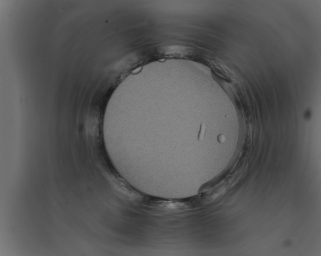 X0000094220379200711241727