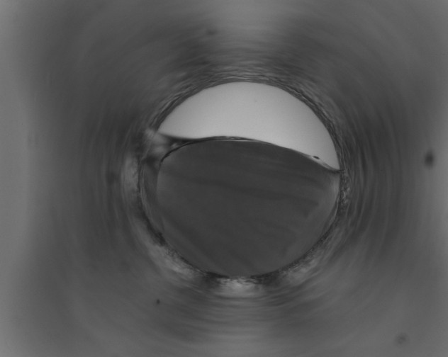 X0000094220380200711241727
